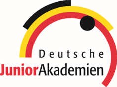 Logo 4